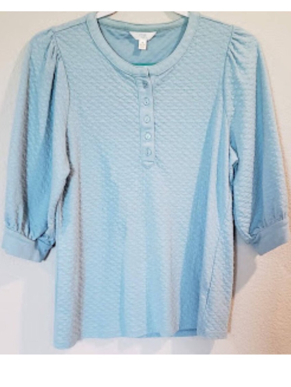 Time and Tru Light Blue Quilted Puff Sleeve Top